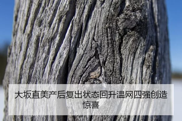 da-ban-zhi-mei-chan-hou-fu-chu-zhuang-tai-hui-sheng-wen-wang-si-qiang-chuang-zao-jing-xi-2-239.jpg